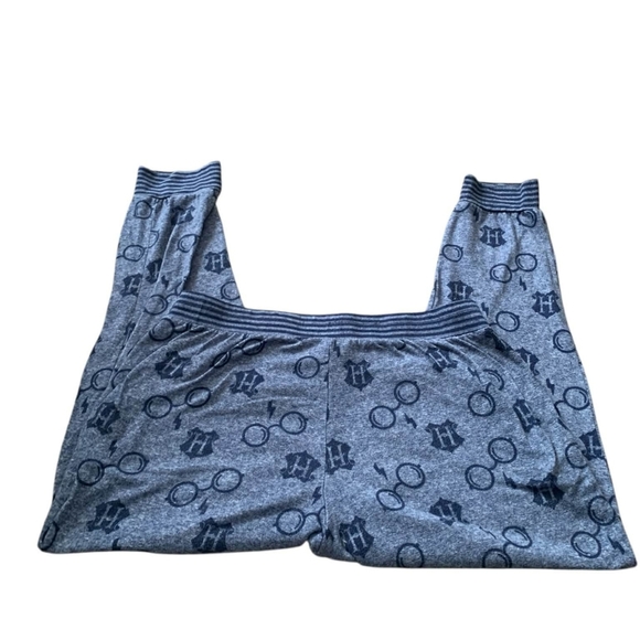Wizarding World Harry Potter Jogger Pajama Pants L Blue H Glasses - Picture 3 of 7